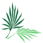 biologoalarcosizquierdo.es favicon