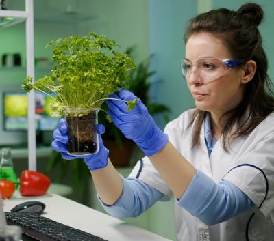 Botanist researcher woman examining green sapling observing genetic mutation analyzing organic plants for agriculture experiment. Chemist working in biological pharmaceutical laboratory SSUCv3H4sIAAAAAAAACnRV247bOAz9lYDP8UA3S3beFugFLXaLAbpoH5pFIVlyIoxtBbbcC4L596XkTOvMpPMwkA8pkoc6ZM5g9OQb2J3Bd908xVFHHwbYkS2MbrBuzMdvI5ckn5z1MYxed/nL6NgcB9072A1z1z1uYYo6zpObUsQ+pFiuc70bIiJ8C40ephiah9MxxAA7pragbTAug8v3KQy2XI7TcY7RjSuj++lcDzu6Bcr42OaYdnS6n6JPVSSfJnRhHk34kf2MP6wzJn93CpOPGZguNXS6/5mOyKDR0R2Q4sLh0p4v54TDDj423g2NAyxuNvj9j58a13V6cGGe4HH75PcmBLvRg928Gv3w8Cf3/zD1AeNh7vMj5h6xWTp37wtwIomipS4sMboQiraFbgmenGiVsZVRosG4lrayEbQsypKyQlhmCi1cXRCrREupaaUl6MZIpSXVsqCUyUIIqYqKKFEQwy1tqpLqWgKW8/AdG94n6liOnq3Hnp3hW2h0l14QwdPoGz8cFo8Qj0kiyDrMQxyRB2CyLoSTNh2+R4vX3BaOeprQwV6A1GXUWuiXIEOIiXK6abH5eKKcyVrwqqoUZ4RIxuFJWkePF1OiM8ynLmjrbNaab8awPDTKGF9eMsppKVW1faHDbCsVK+kLQS6mmqZra2FmvK4Z+S3QNXQt1LXlSbAr6KLcNbSW8BpfS3mBOateaHpteibuiwnf+5fIL1ApZRrX2fQeS889vNWLS9gbvcj4TeJLIS8p5Spu155N143J0HWvseY/Mcymmw9d17KSabhyWm+nG1ShZkLyumJwTRUERxVyVmf9XXEFWivUEOdSwTVbYLQmXFYkzd0zuiBwEKuqVunShS9e1ocwNUgVozBKSkIJofCLPdBScCaIECnTNX0QikkhabY95w9U1kSpkuJiAo9vDLRVUlvcIoRzUQitWWFoZQpT84o6y0pcExhomaxUcJrPNox9XmqjnrABecBxH5x0PCL4erff07vN5zA+4FrY3OfC9ntZI/jm9eZvbQL+qODIborNPW6+iEY0vcJC9/sP7z68/+vT14+ESvxH6Nd/GSd3JP0xJe/e37+Fx/8BAAD//wMA2AuKDaQGAAA=